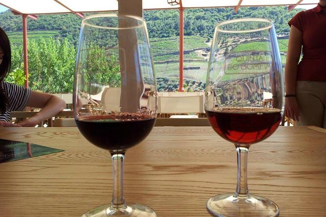 Complete Douro Valley Wine Tour with Lunch, Wine Tastings and River Cruise - Who Will Love This Tour?
