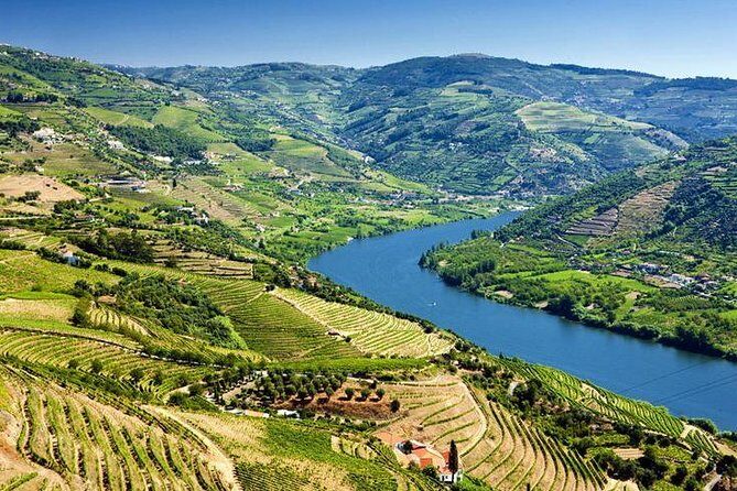Complete Douro Valley Wine Tour with Lunch, Wine Tastings and River Cruise - FAQ: Your Questions Answered