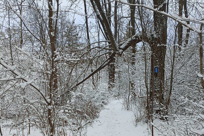 Complete Guided Tour of Niagara Attractions and Trails - Exploring the Complete Guided Tour of Niagara Attractions and Trails