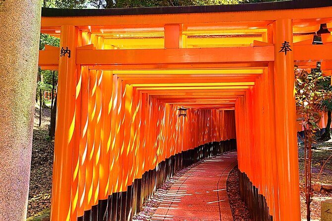 Complete Kyoto Tour: Explore 10 Must-See Sights and Hidden Gems - The Itinerary in Detail: What You’ll Experience