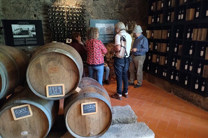 Complete Private Douro Valley Wine Tour - An In-Depth Review of the Douro Valley Tour