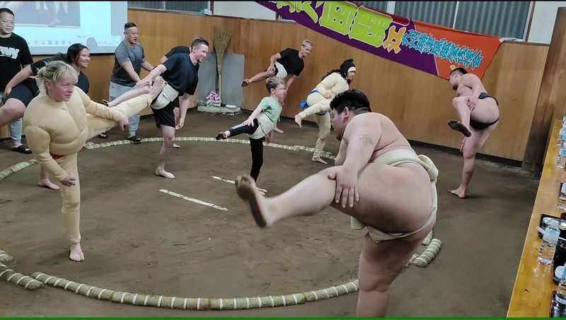 Complete sumo experience in Tokyo - Timing, arrival and practical details