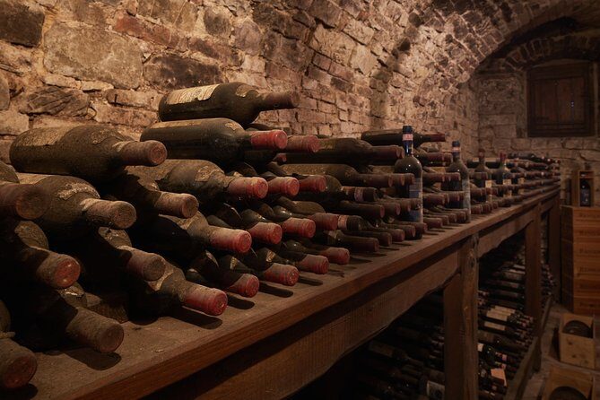 Complete tasting of Castello di Bossi - Who Should Consider This Experience?