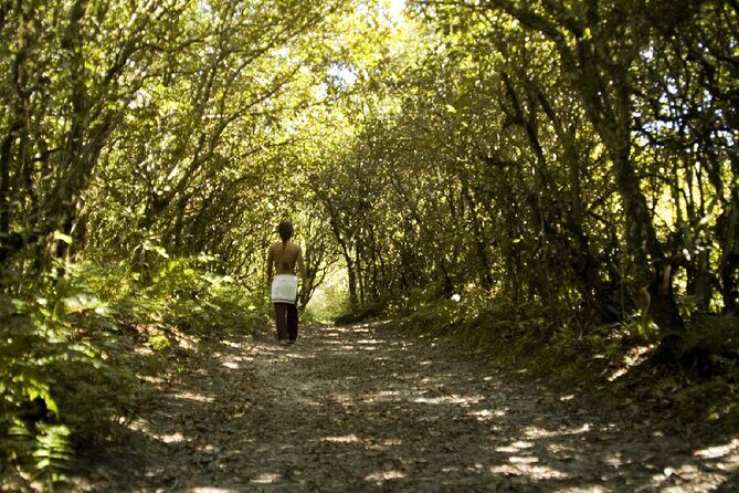 Complete Tour to Ilha do Mel - Final Thoughts