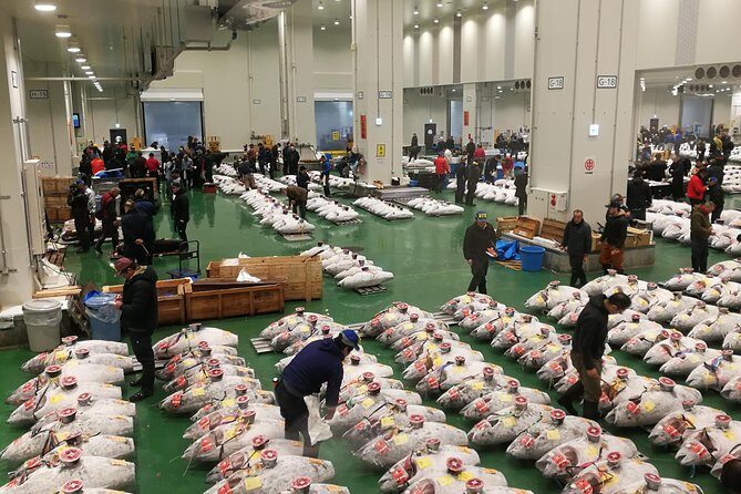 Complete Tuna Auction & Toyosu Fish Market Tour - Key Points