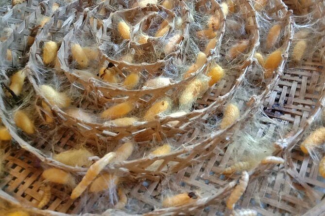 Completed Thai Silk Class Experience - Key Points