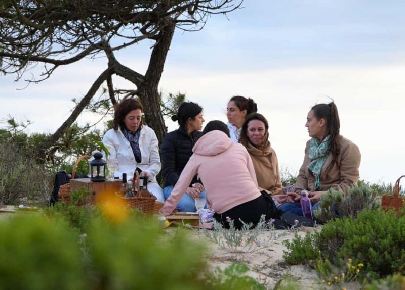 COMPORTA EXPERIENCE: LAND ROVER PREMIUM TOUR | PICNIC & DRONE INCLUDED - What We Love About This Tour