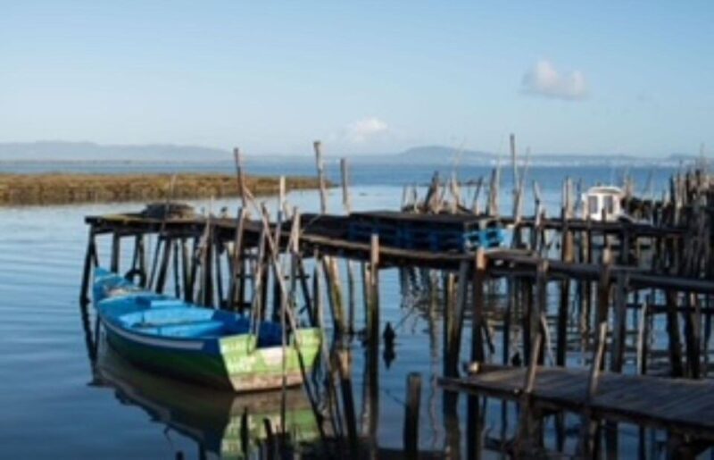 Comporta to Alcacer do Sal boat trip - Comporta to Alcacer do Sal Boat Trip: An Authentic Journey through Portugal’s Sado Estuary