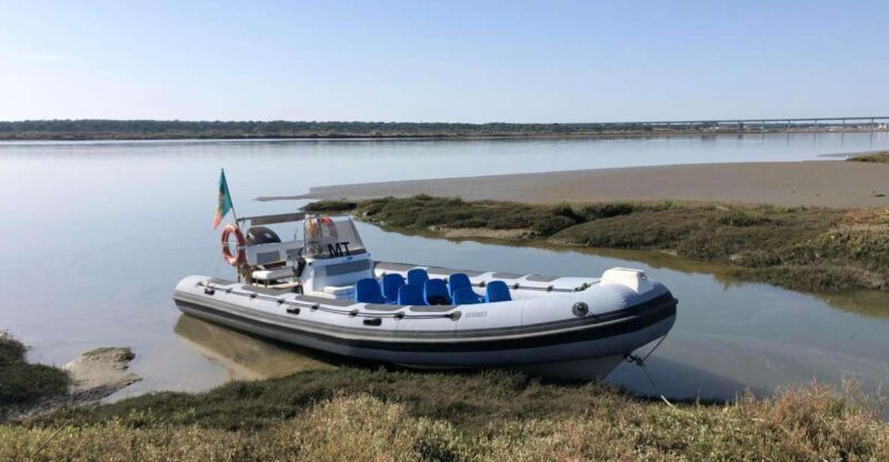 Comporta to Arrábida Coast and Troia - What’s Included and What to Expect