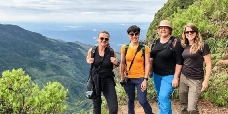 Comprehensive Excursion: Horton Plains and Pedro Tea Factory - Pedro Tea Factory: From Leaf to Cup