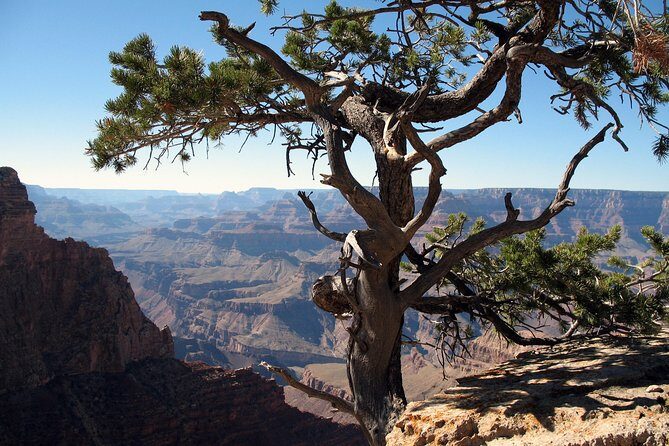 Comprehensive Grand Canyon Tour from Sedona - Key Points