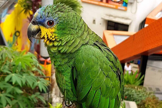 Comuna 13 Graffiti Tour with Street Food - Frequently Asked Questions