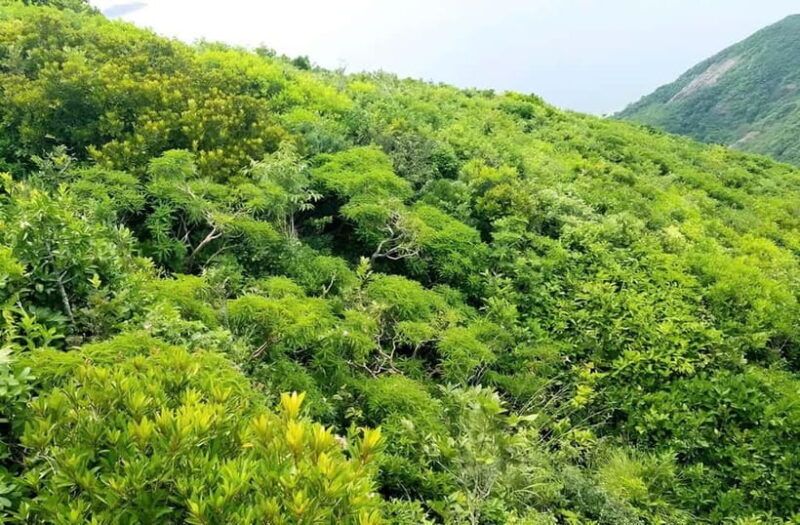 Con Dao: Journey Through So Ray A Natural Wonder - FAQ