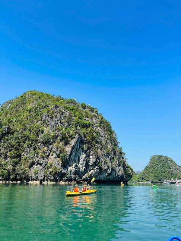 Con Dao Night Turtle Watching And Coral Snorkeling Eco Tour - Who Should Consider This Tour