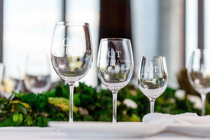 Concha y Toro Vineyard - Final Thoughts