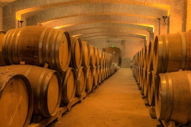 Concha y Toro Vineyard (Marques Tour) - Key Points