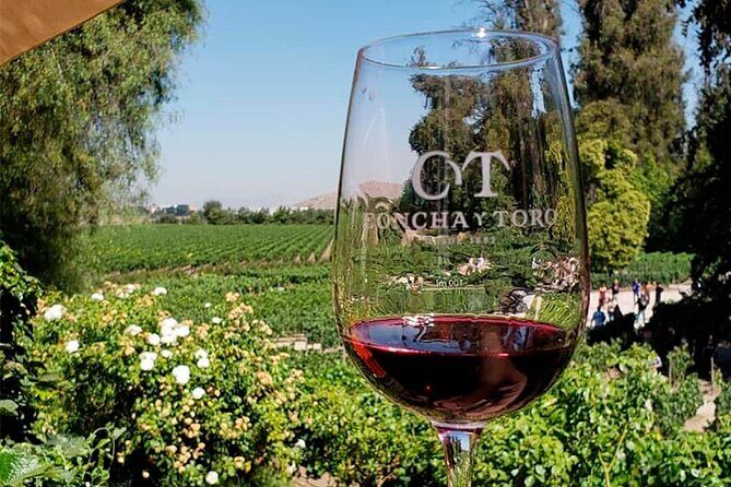 Concha y Toro Vineyard Tour From Santiago - Key Points