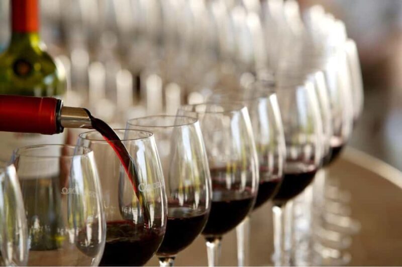 Concha y toro Wine tour - Key Points