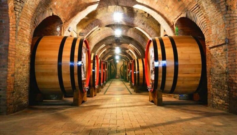 Concha y toro Wine tour - A Detailed Look at the Concha y Toro Tour