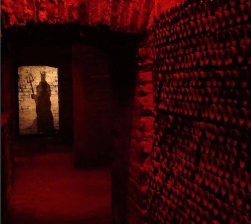 Concha y toro Wine tour - FAQ