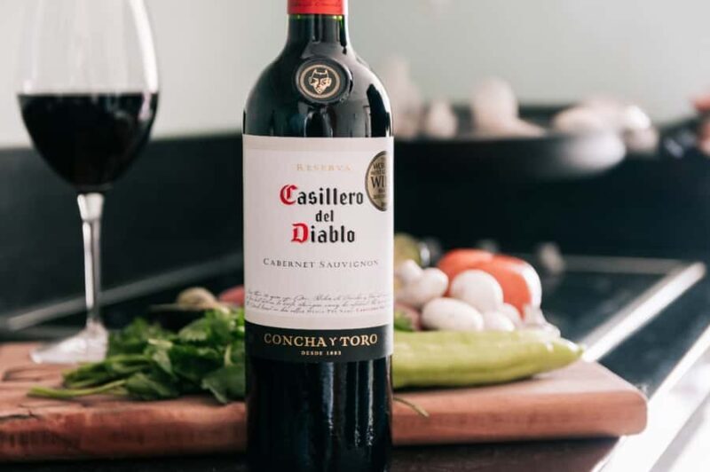 Concha y Toro Wine Tour with Dinner at the Winery - Concha y Toro Wine Tour with Dinner at the Winery: A Taste of Chiles Famous Vineyards