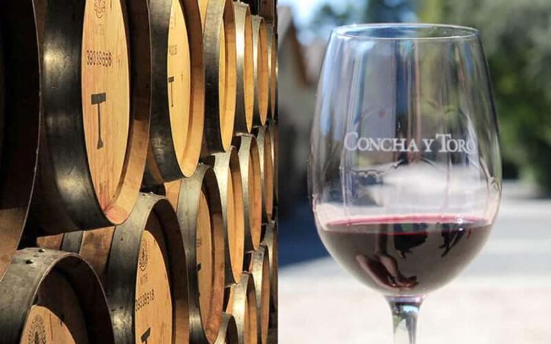 CONCHA Y TORO WINERY - TOUR : CHILE - Detailed Review of the Concha y Toro Winery Tour