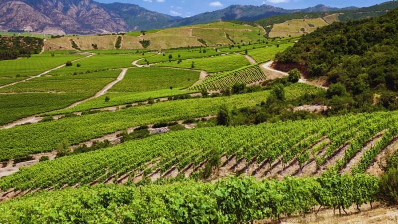 CONCHA Y TORO WINERY - TOUR : CHILE - FAQ