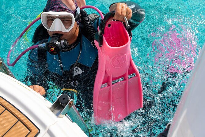 Concierge Two Tank Boat Dive in Bonaire (4 Divers) - Key Points