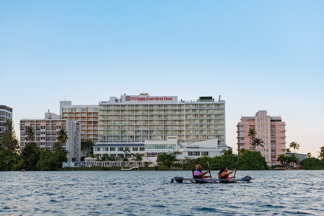 Condado Lagoon: Nature Kayak Tour - Exploring the Condado Lagoon: A Detailed Review