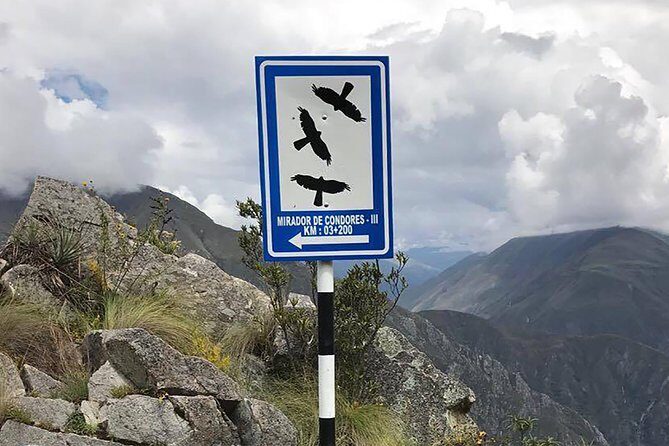 Condor Tour from Cusco - 1 Day - Final Thoughts