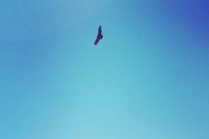 Condor watching tour at the Andes + Artisan Village in Santiago - A Deep Dive into the Experience