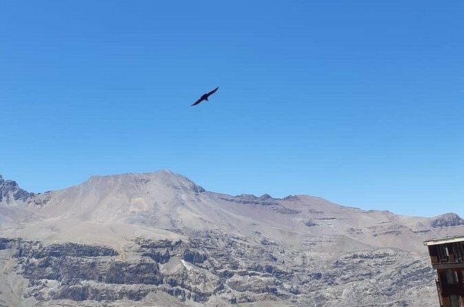Condor watching tour at the Andes + Artisan Village in Santiago - Final Thoughts