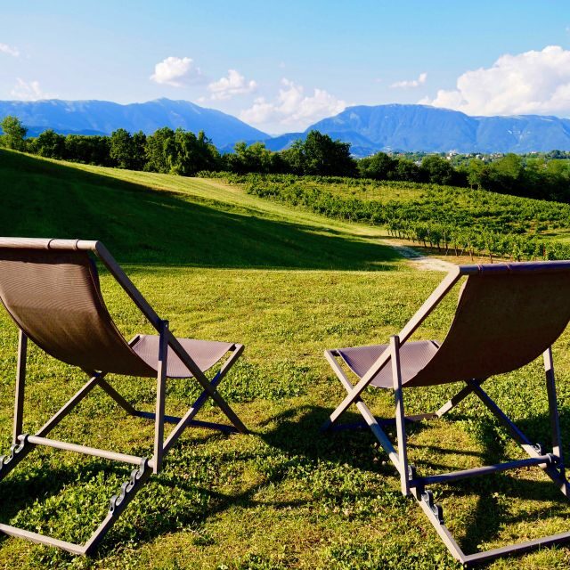 Conegliano: Prosecco Hills and Vineyards tour - FAQ