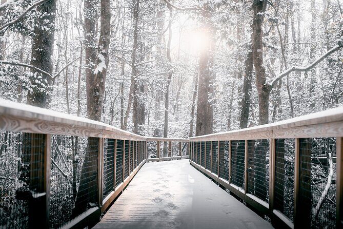 Congaree National Park Self Guided Audio Walking Tour - Who Should Consider This Tour?