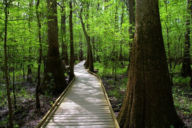 Congaree National Park Self Guided Audio Walking Tour - Final Words
