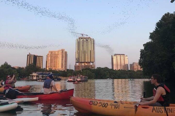 Congress Avenue Bat Bridge Kayak Tour in Austin - An In-Depth Look at the Tour Experience