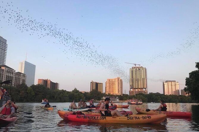 Congress Avenue Bat Bridge Kayak Tour in Austin - FAQ