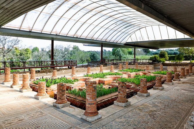 Conímbriga Roman Ruins & Museum - Who Should Consider This Tour?