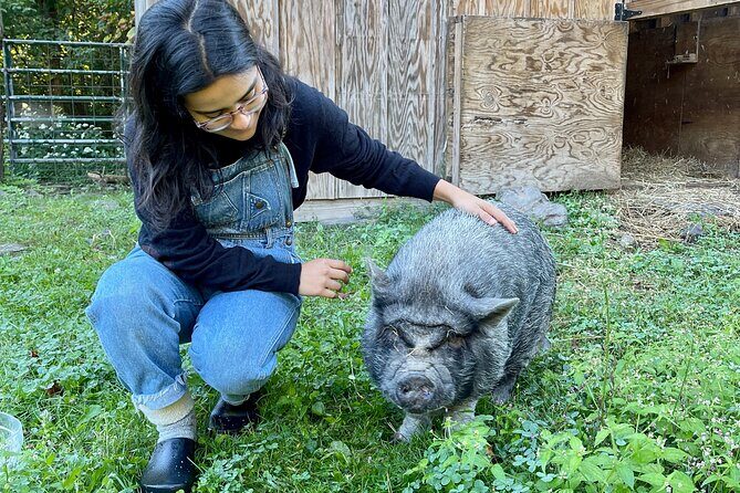 Connect with Rescue Animals on a Private Farm Tour in Catskills - Final Thoughts