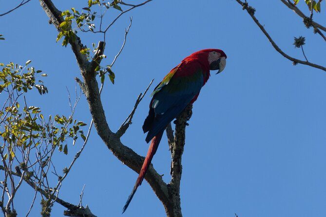 Connect with the nature of Iberá on a private tour - What Makes This Tour Stand Out