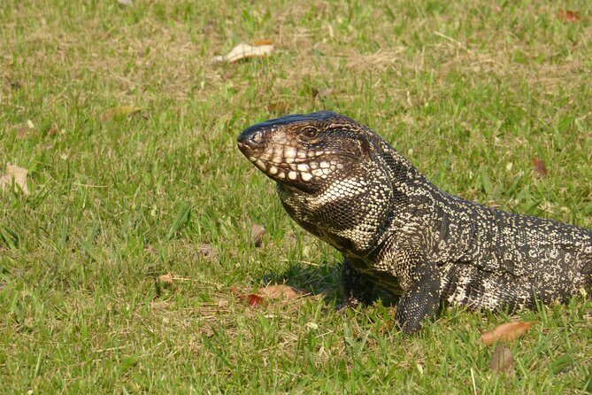 Connect with the nature of Iberá on a private tour - Final Thoughts