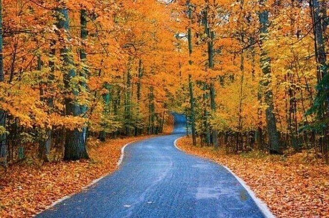 Connecticut Maple Foliage 1 Day Tour From New York - Final Thoughts: Is It Worth It?