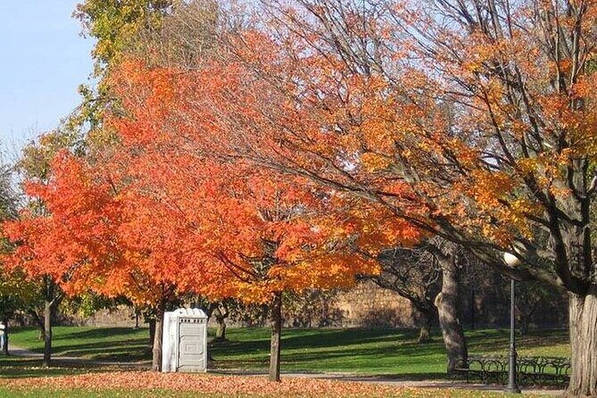 Connecticut Maple Foliage 1 Day Tour From New York - Frequently Asked Questions