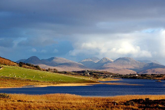 Connemara & Connemara National Park day tour from Galway. Guided. - A Deep Dive into the Connemara Day Tour