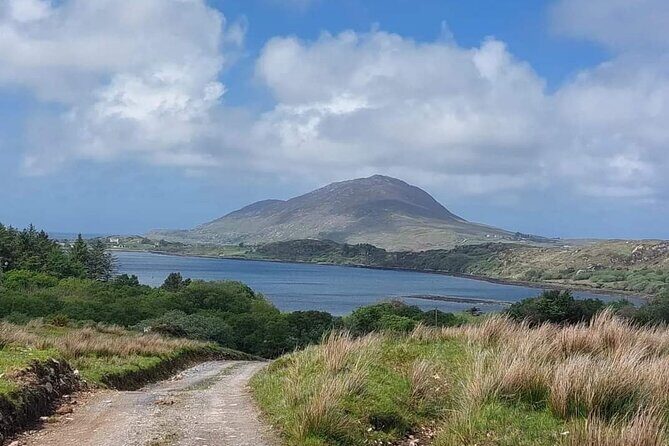 Connemara Sheep Farm experience & Kylemore Abbey by Lux Limousine - Transportation & Logistics