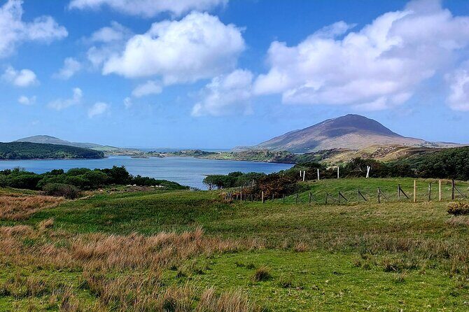Connemara Sheep Farm experience & Kylemore Abbey by Lux Limousine - The Sum Up