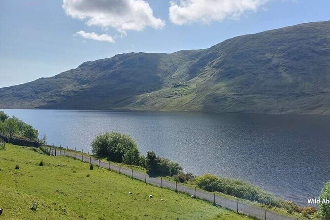 Connemara Sheep Farm experience & Kylemore Abbey by Lux Limousine - FAQ