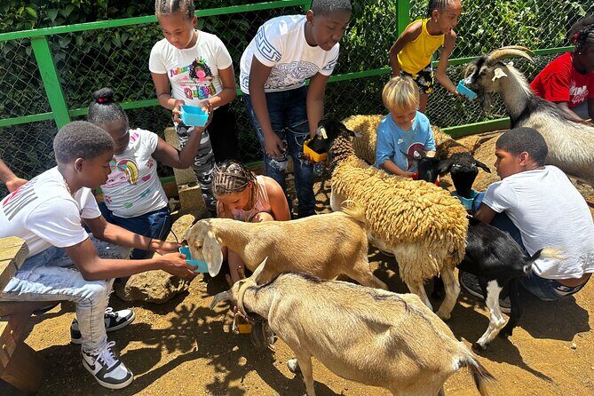 Connors Farms Petting Zoo - Key Points
