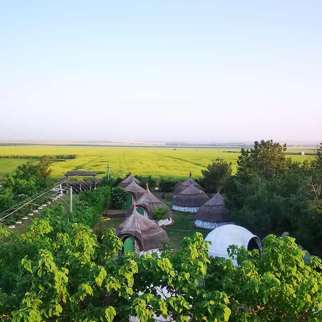 Constana: Ancient Histria Fortress and Local Wine Tasting - Constanta: Ancient Histria Fortress and Local Wine Tasting — A Deep Dive into Romanian Heritage and Flavors