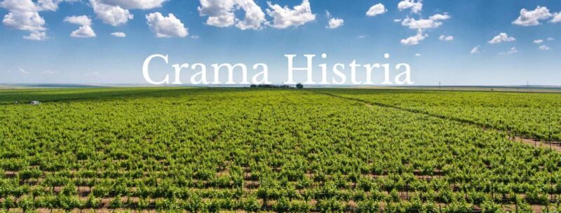 Constana: Ancient Histria Fortress and Local Wine Tasting - Deep Dive into the Experience